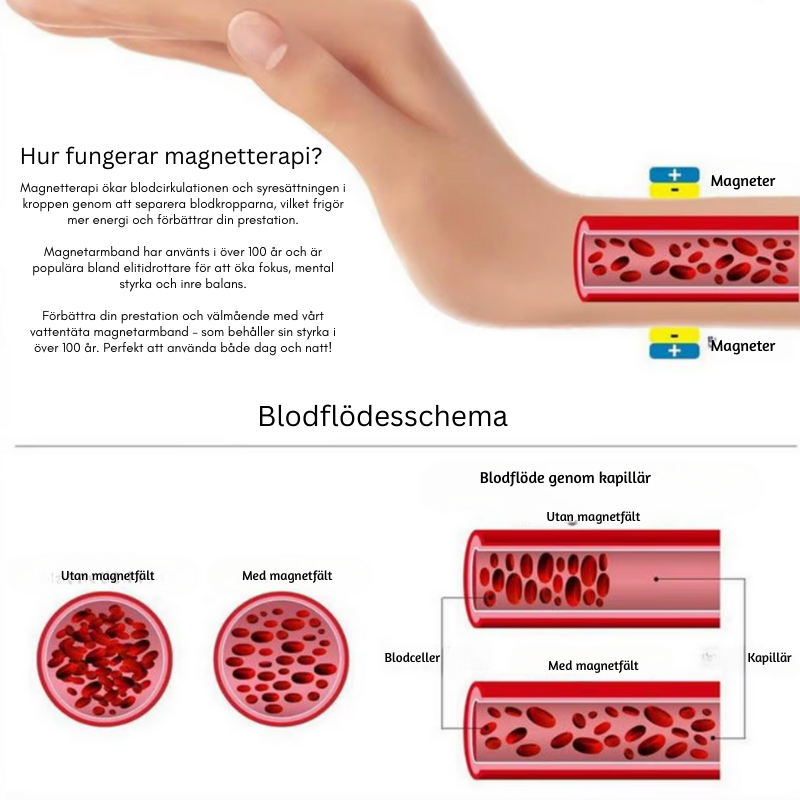 Magnetiskt hälsoarmband med 18K guldplätering