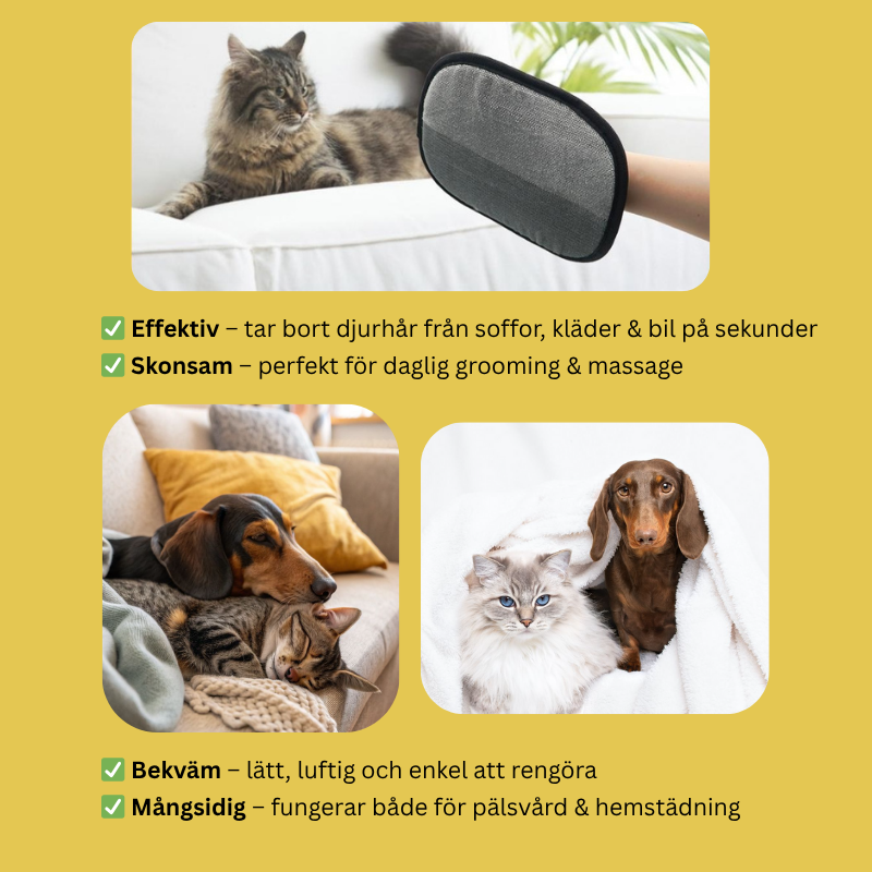Pälsborttagare